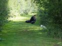 Manor Farm Coarse Fishing Anglers of the Future (73)
